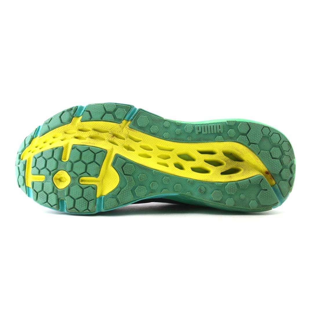 PUMA BIOWEB ELITE
